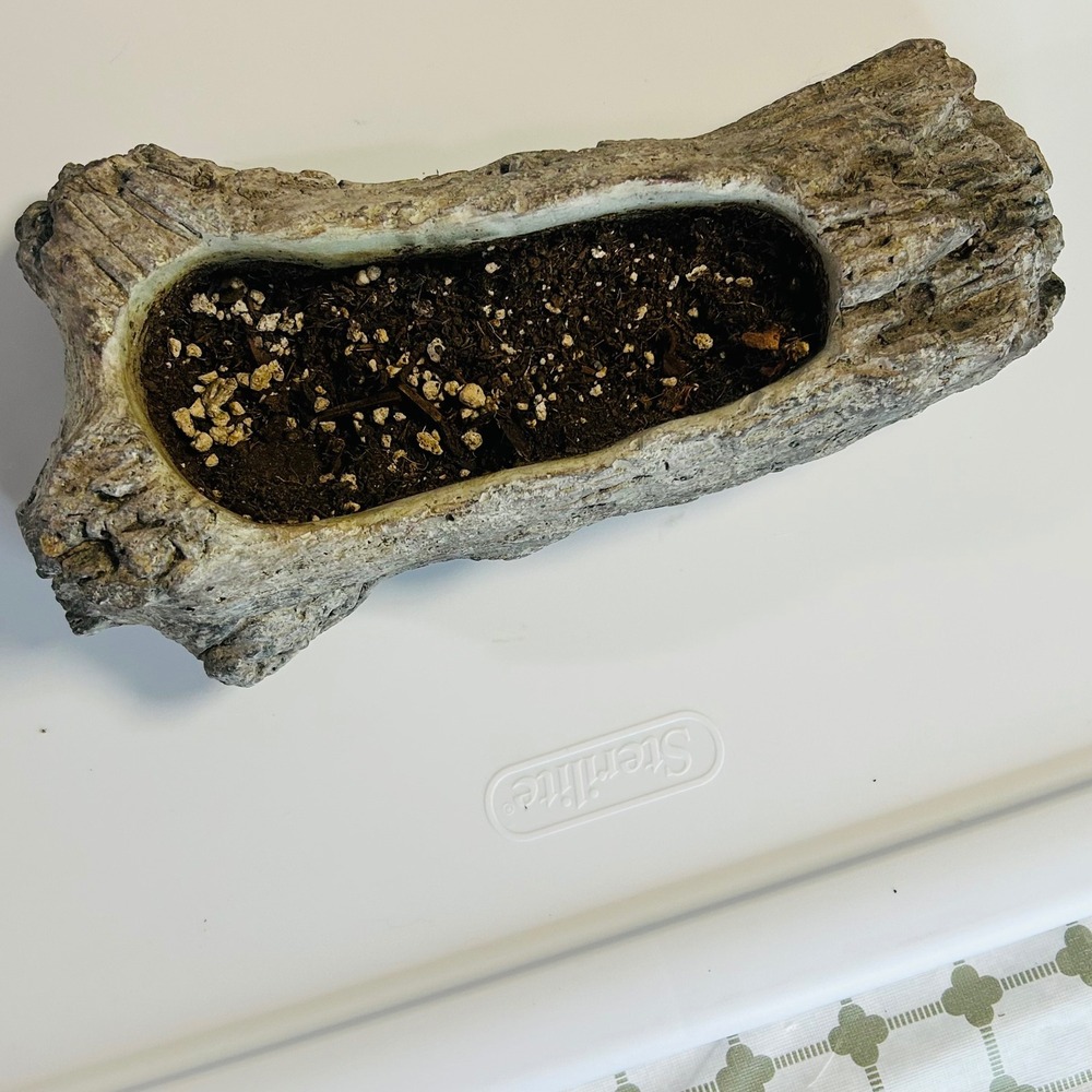 Faux Driftwood Log Succulent Planter 2010's West Coast Floral Resin Trough Pot